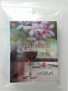 10 ใบ ถุงซิปล็อค ขนาด 8x12 นิ้ว (20*30 cm.)